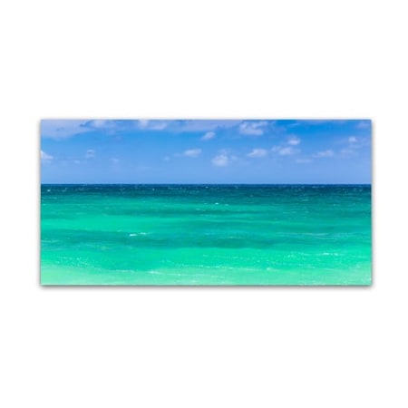 Pierre Leclerc 'Green Hawaiian Sea' Canvas Art,10x19